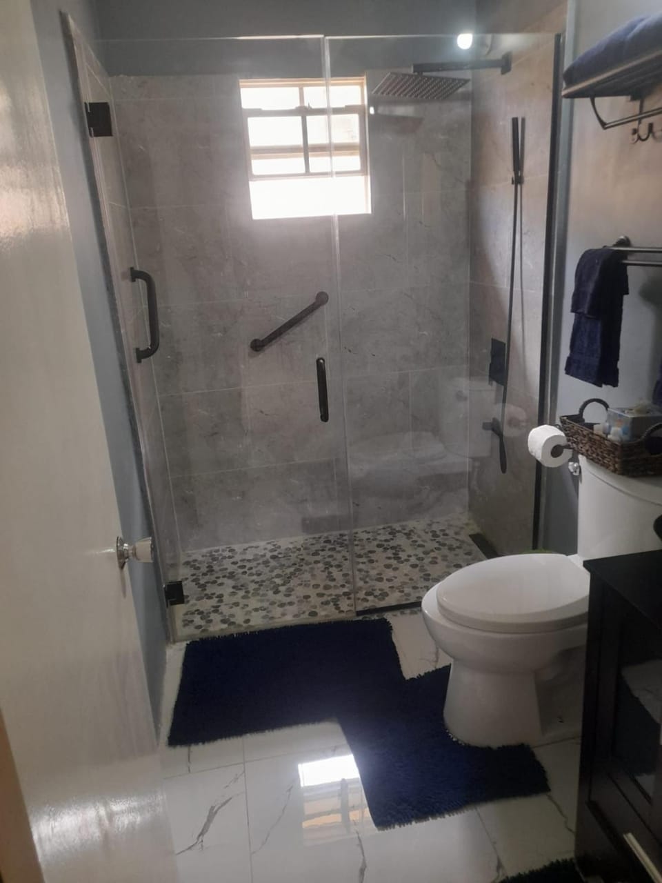 Williams Oasis Apartment in Jamaica