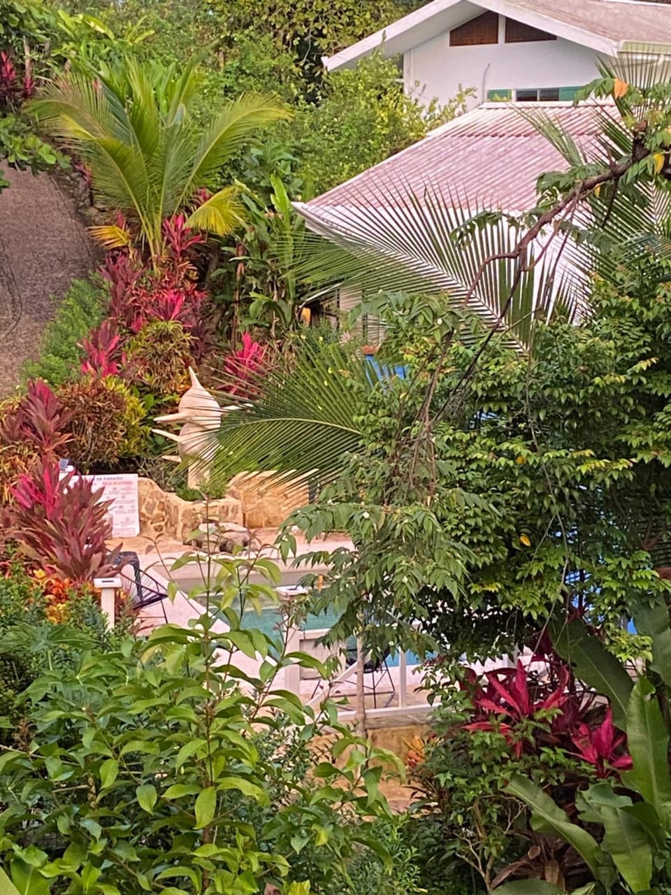 Pool view