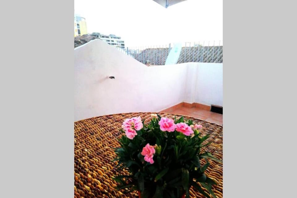 Cozy in the Center with Terrace Apartment in Cagliari