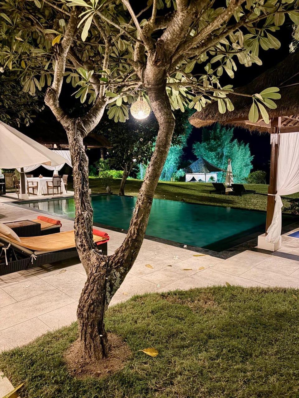 Natural landscape, Garden, Pool view, sunbed