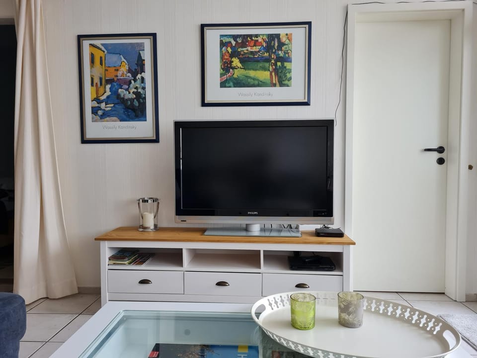 TV and multimedia
