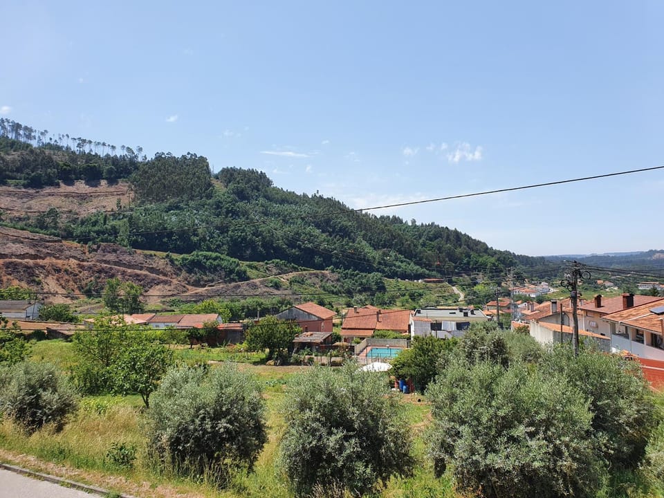 Natural landscape