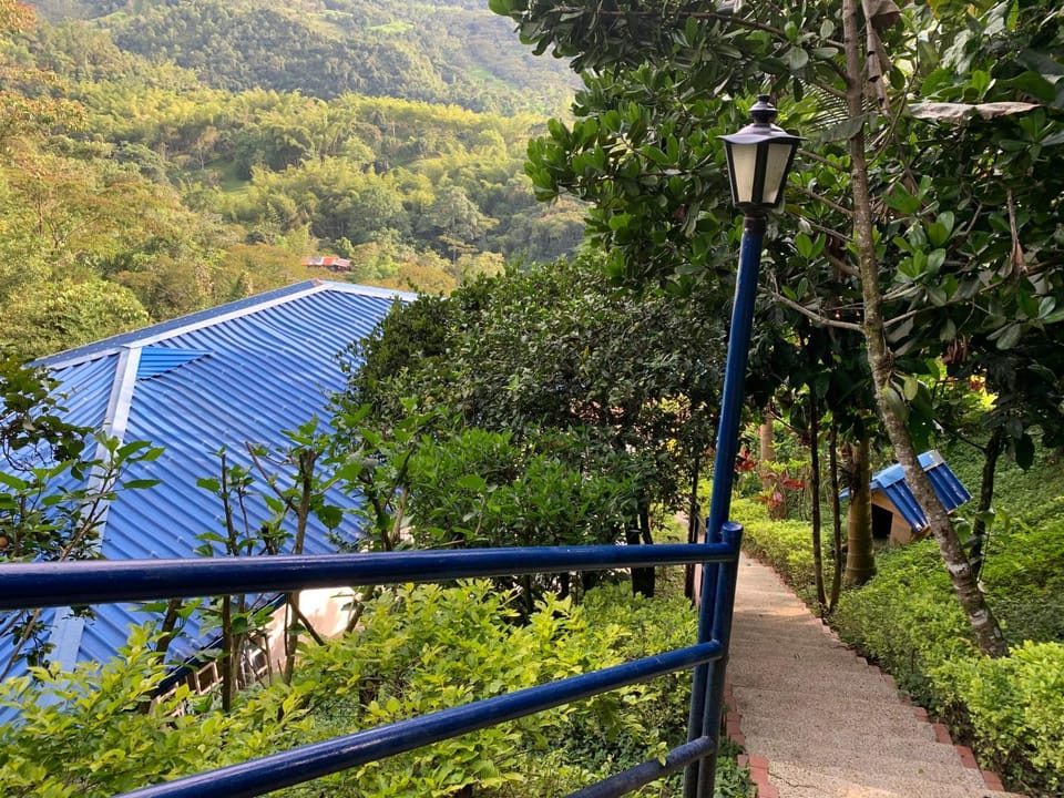 Garden view