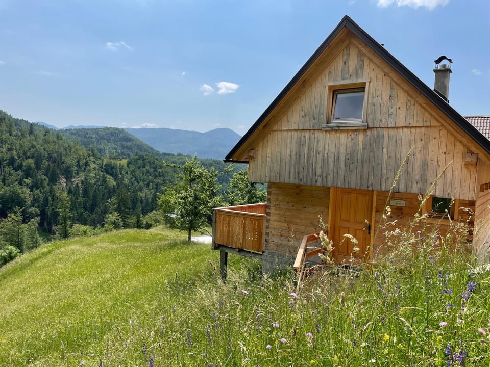 Miha`s cottage Chalet in Slovenia