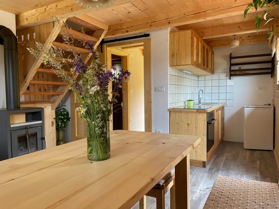 Miha`s cottage Chalet in Slovenia