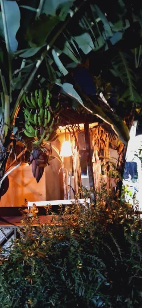Swahili House & Art Hostel in Arusha