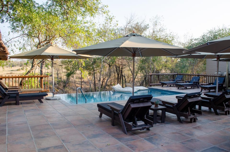 Swimming pool, sunbed
