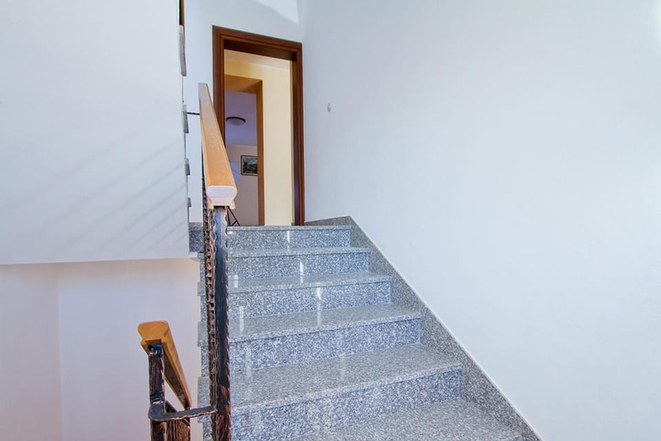 Apartment Daniela Apartment in Novigrad