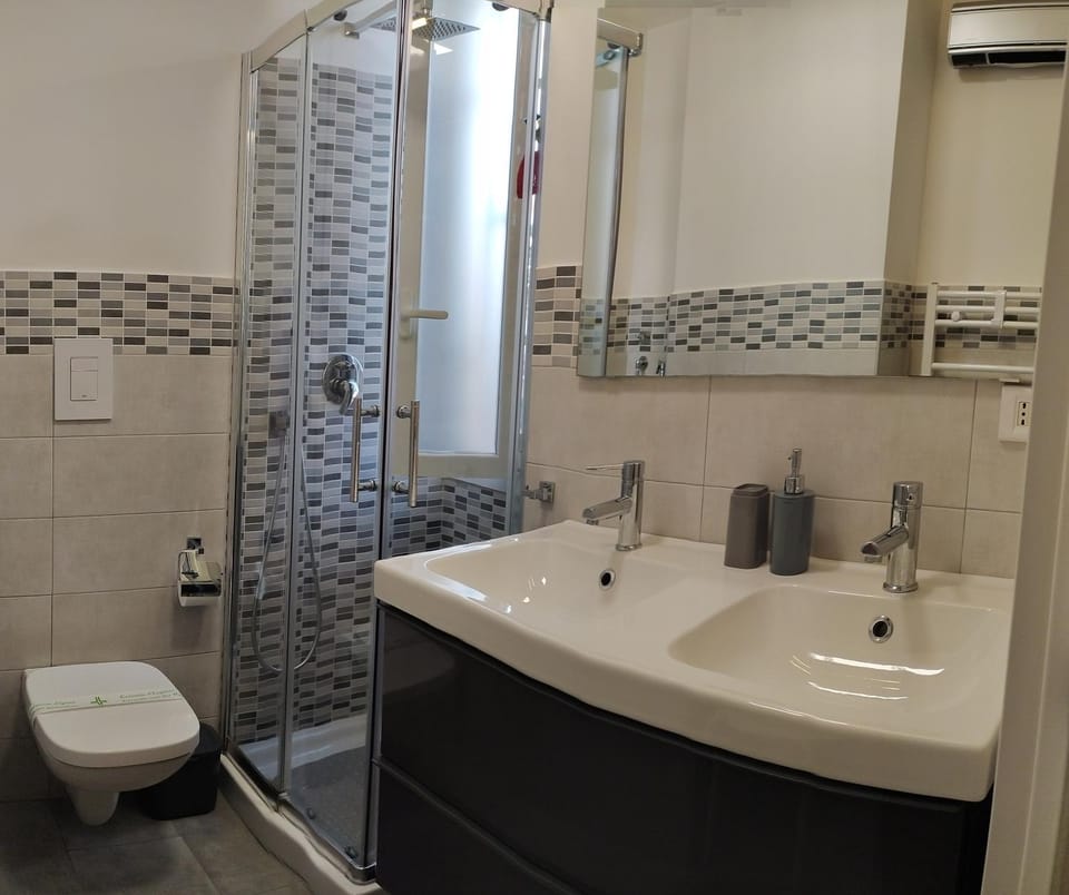 Shower, Toilet, Bathroom, towels