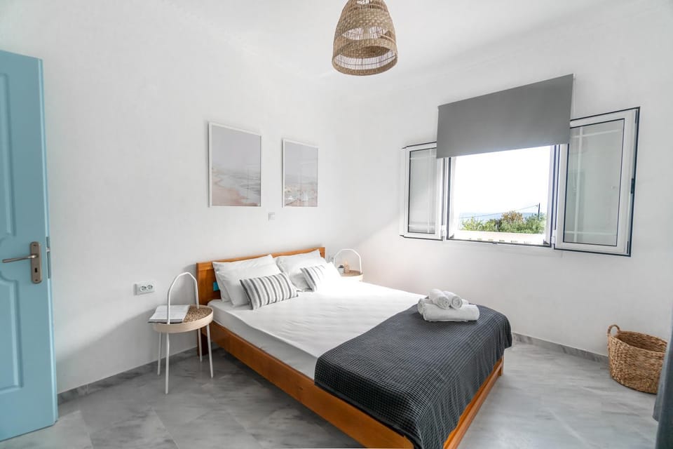 Andrikas Villa at Xenios Avlais Apartment in Alikanas