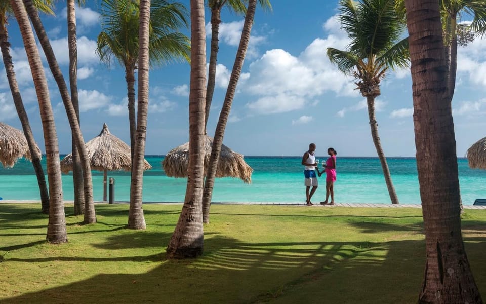 Day, Garden, Beach, Guests