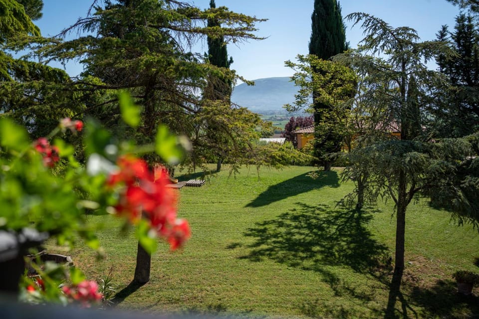 Garden, Garden view