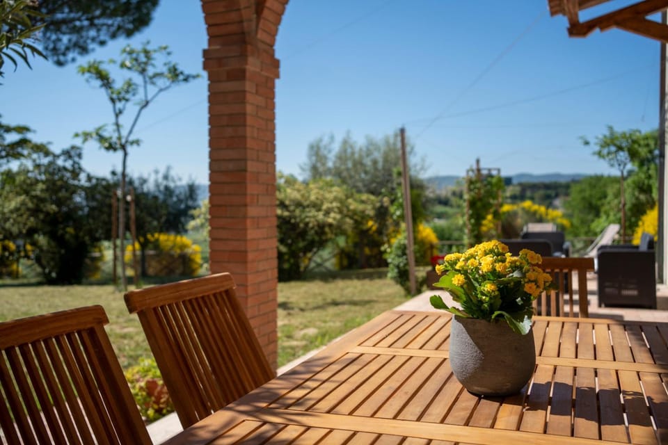 Patio, Garden