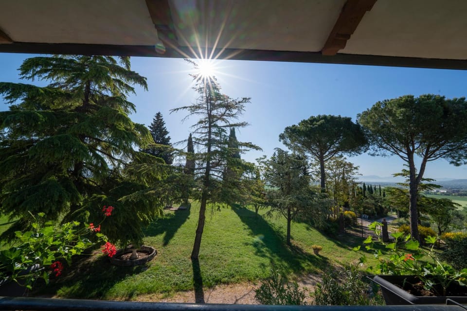 Garden view