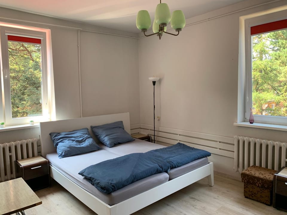 Bed, Photo of the whole room, Garden view