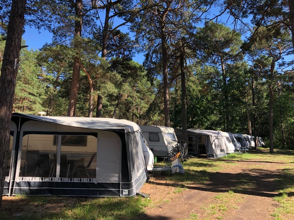 Day, Natural landscape, Windsurfing, Animals, Animals, Animals, Pets, Pets, Pets, Area and facilities, pet friendly, pet friendly