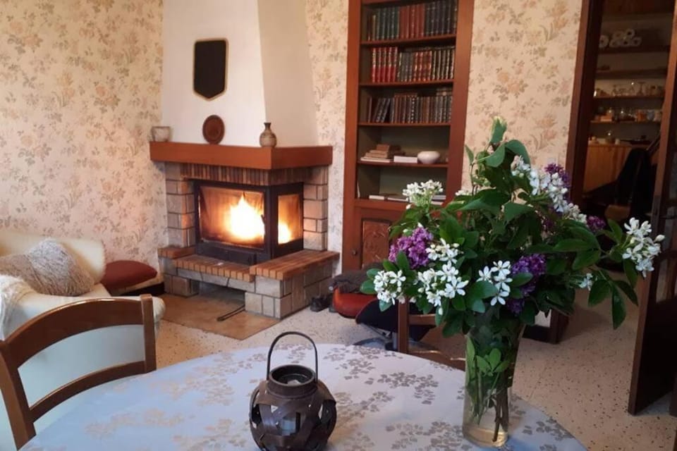 Library, Living room, fireplace