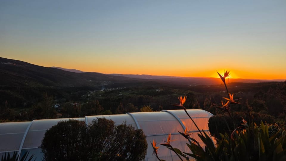 Coja Mountain Perch Villa in Coimbra District, Portugal
