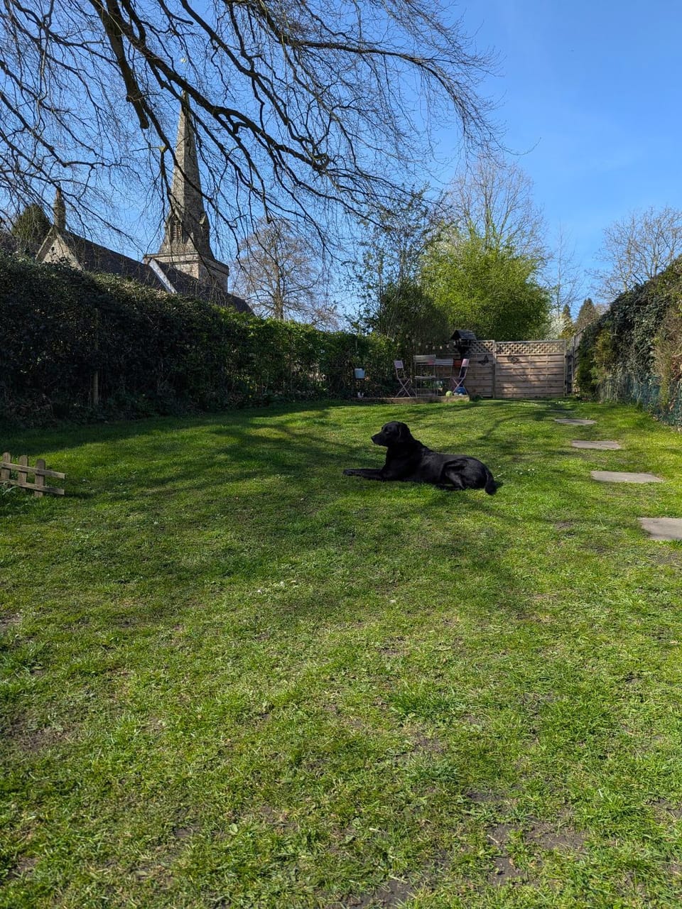 Spring, Garden, Garden view