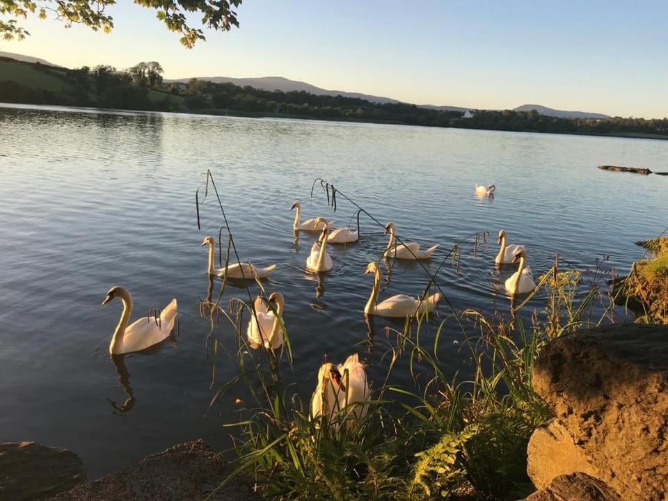 Lakeside Lookout Bantry Apartment in County Kerry