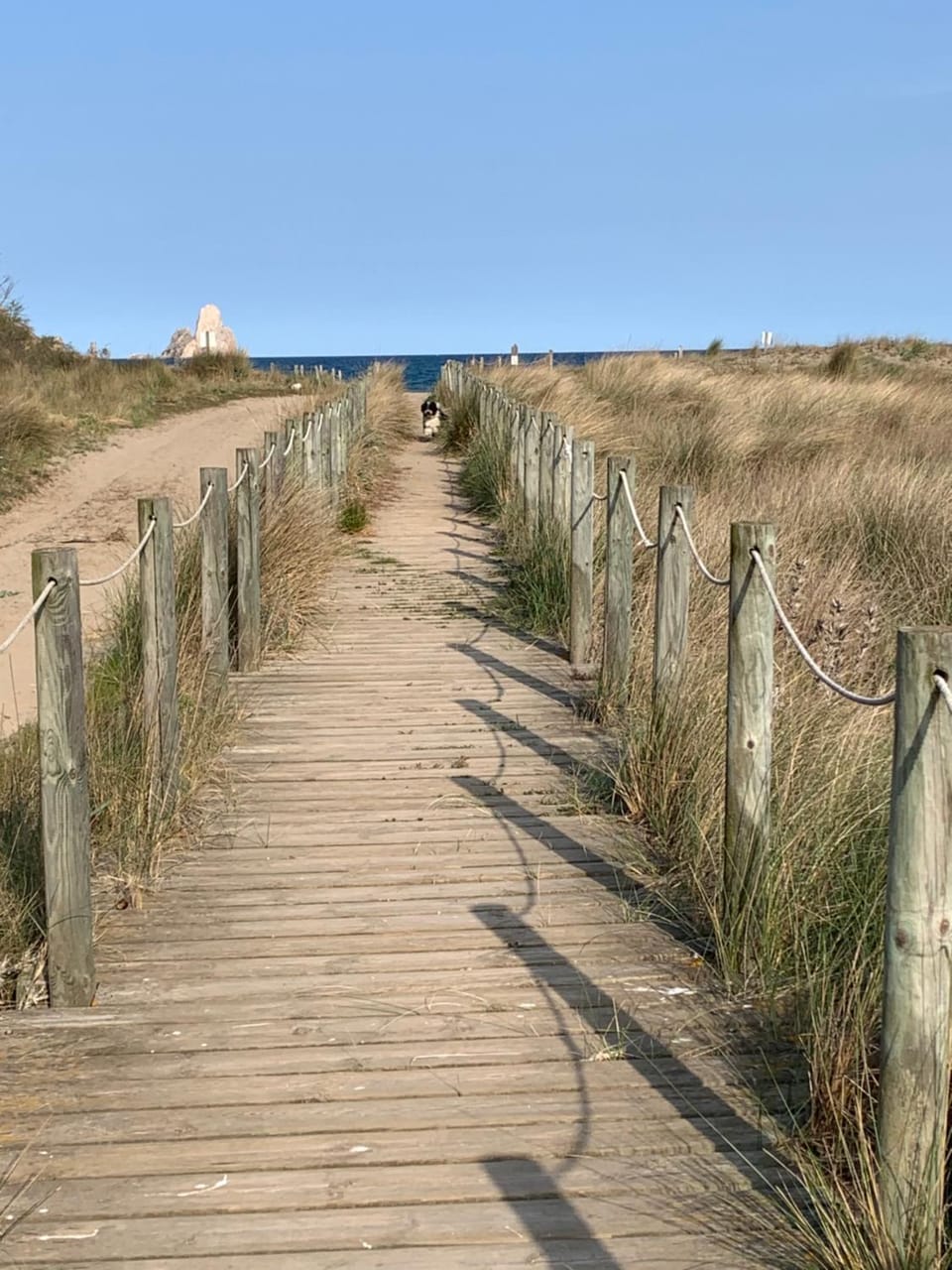 Natural landscape, Beach, Hiking
