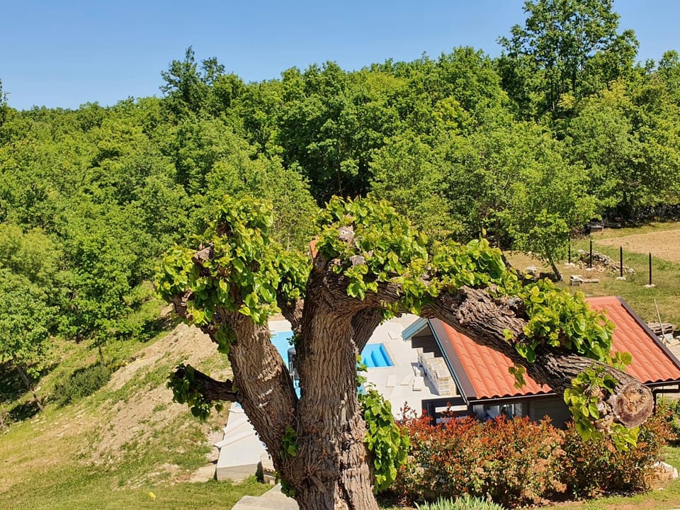 Casa dei Boscarini Inn in Istria County