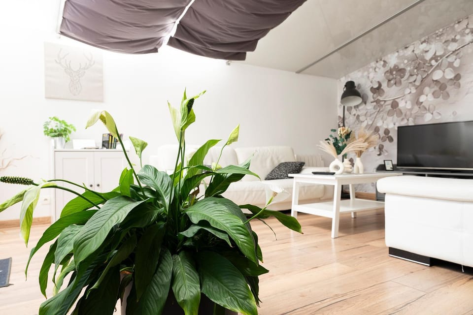 Communal lounge/ TV room, TV and multimedia, Living room, Seating area