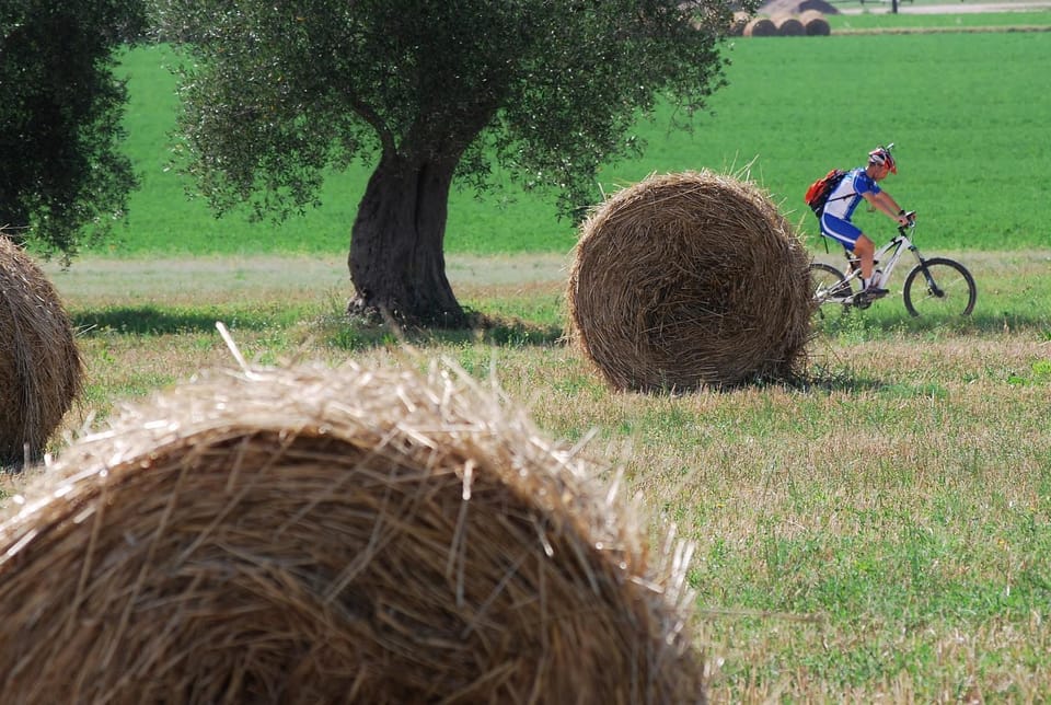 Cycling