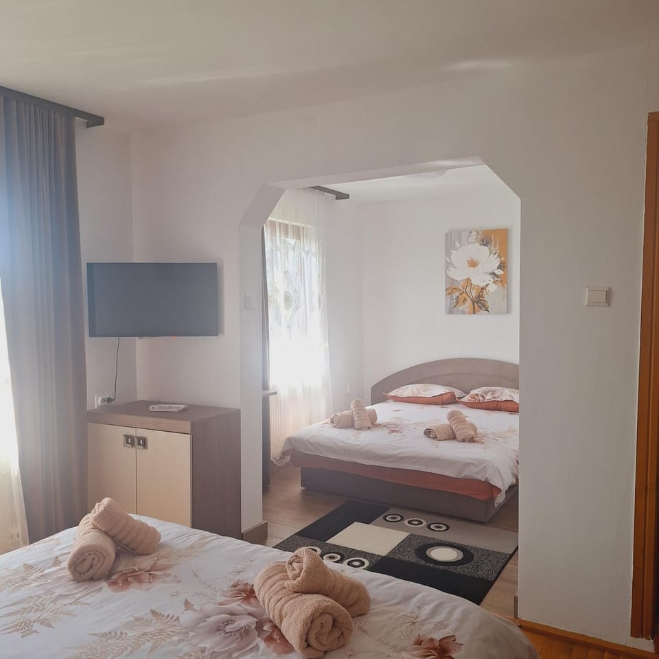 Pensiunea Casa Ancuta Bed and Breakfast in Romania