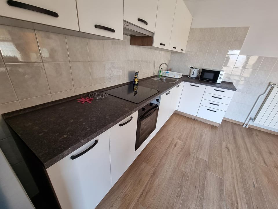 Kitchen or kitchenette, dishwasher, minibar, pet friendly, stove