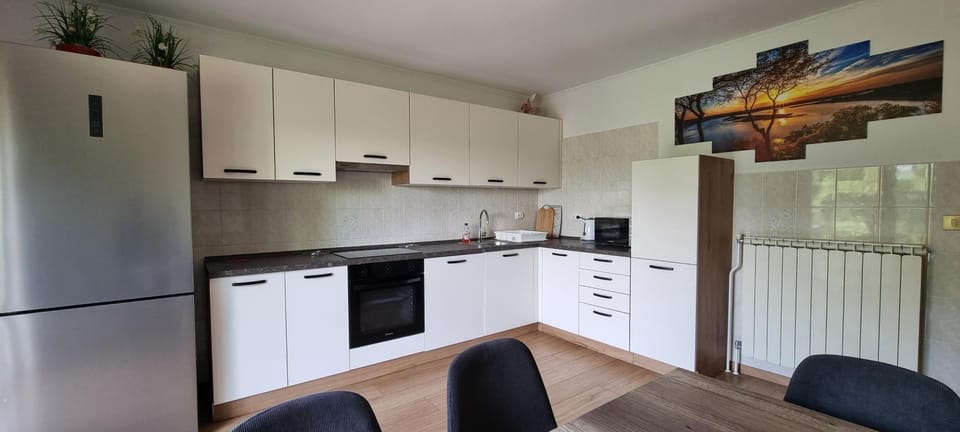 Kitchen or kitchenette, Dining area, dishwasher, oven