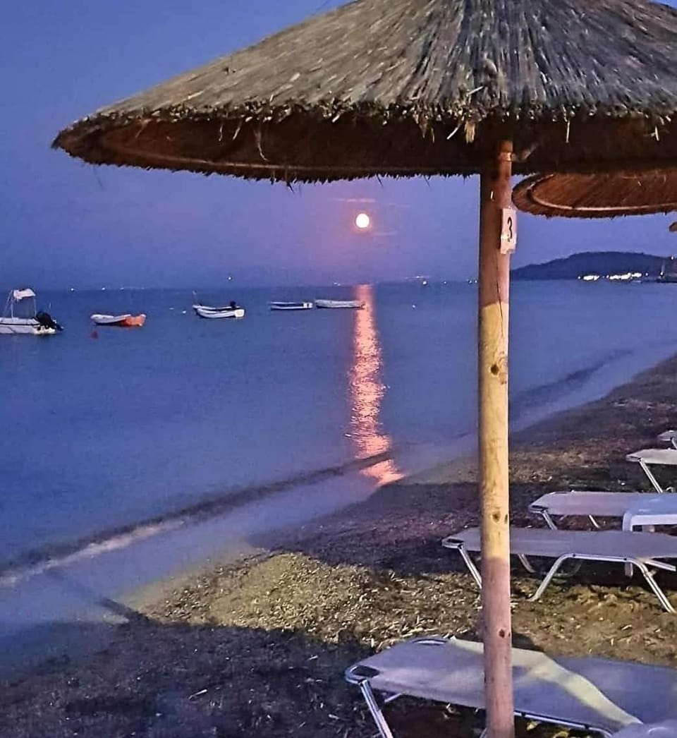 Corfu Olivia Apartments Apartment in Moraitika