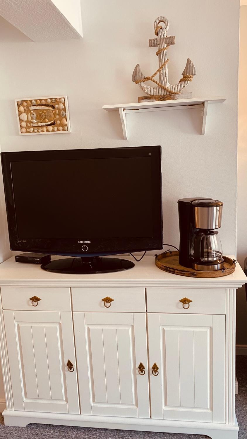 TV and multimedia