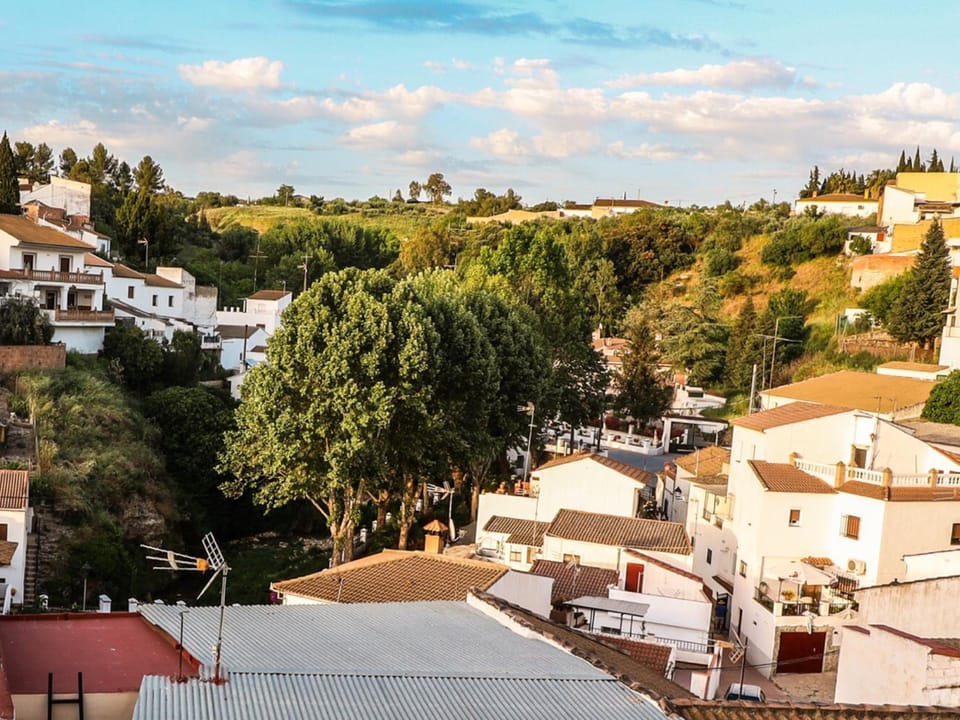 City view