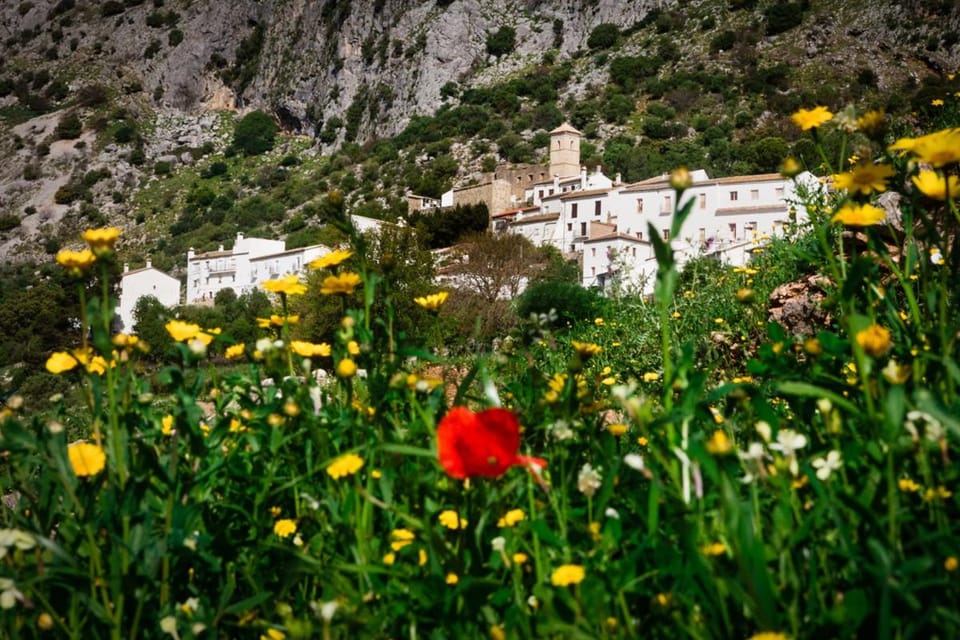 Casa De Los Cuadros Bed and Breakfast in Sierra de Cádiz