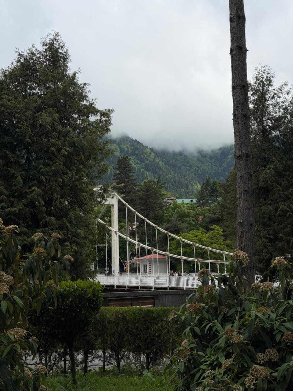Nearby landmark, Spring, Day, Natural landscape, Mountain view