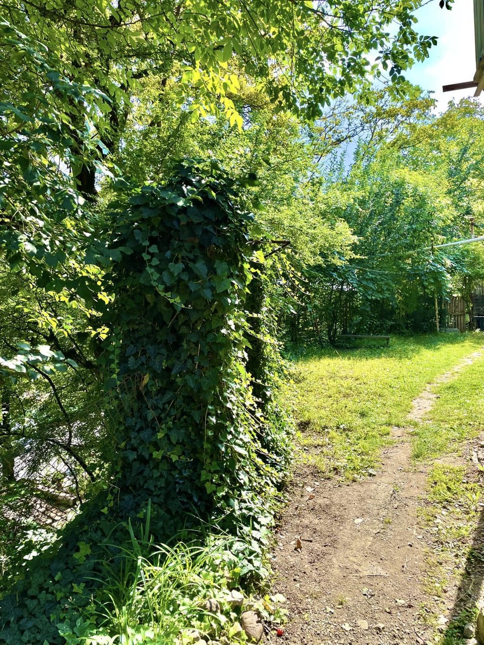Spring, Day, Natural landscape, Garden, Garden view
