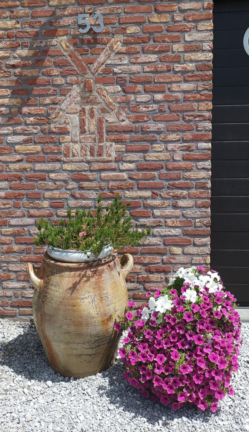 L'évasion du berger australien Apartment in Wallonia, Belgium