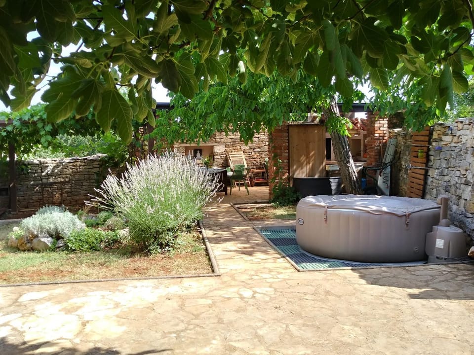 Day, Garden, Garden view