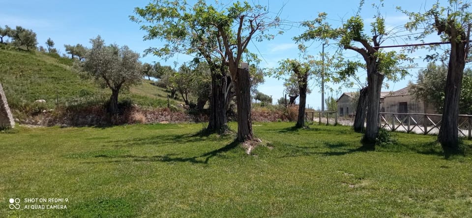 Garden, Garden