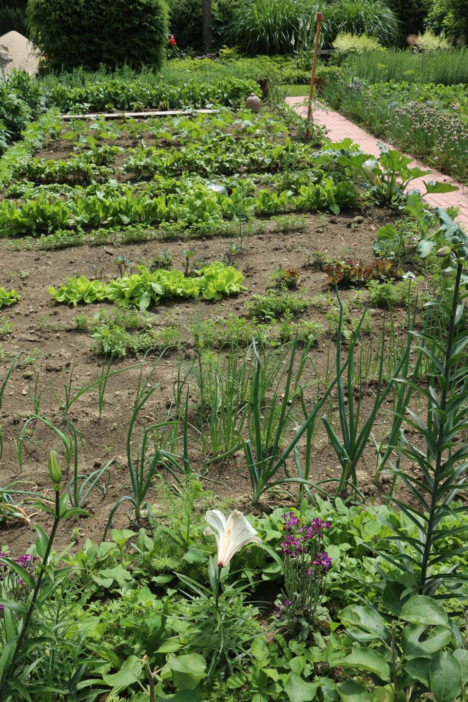 Garden, Garden view