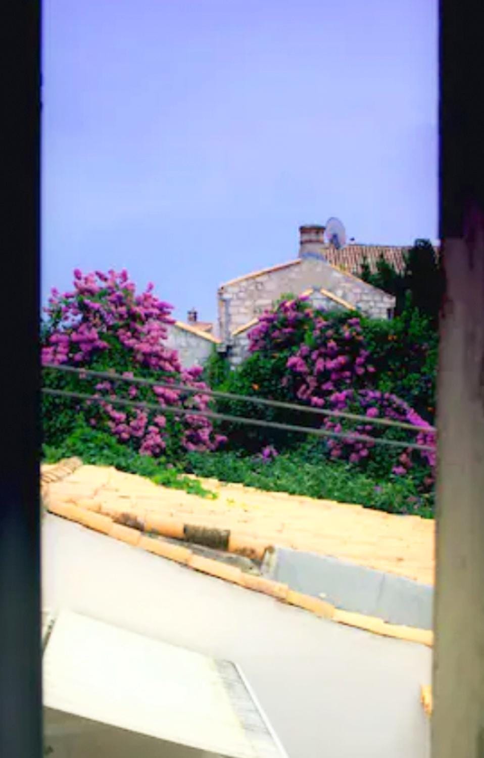 Neighbourhood, City view, Street view