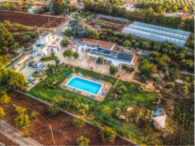 Bird's eye view, Garden