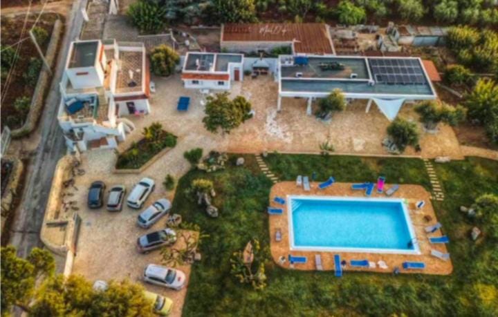 Bird's eye view, Garden