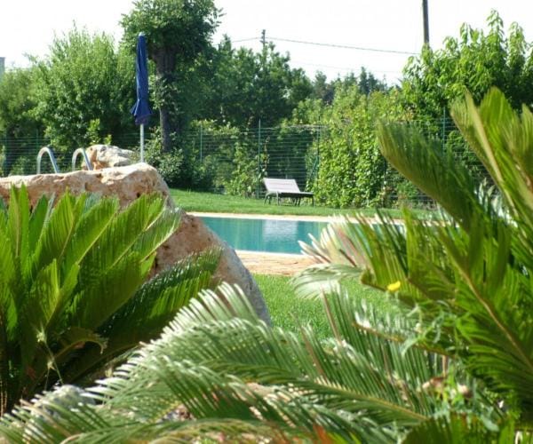 Garden view