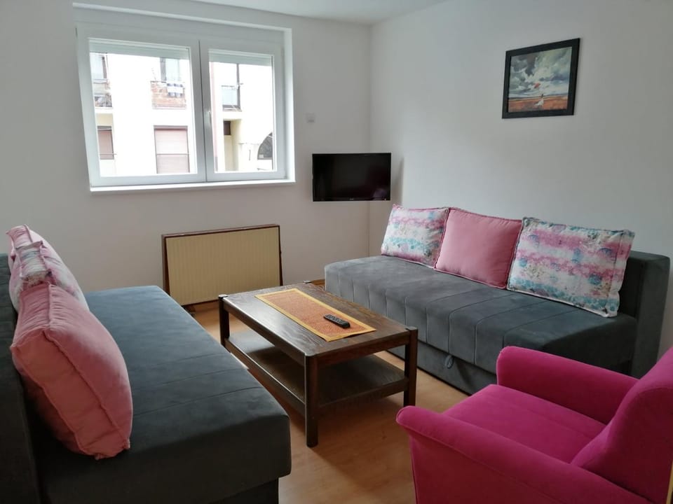 Apartman Savić Apartment in Serbia