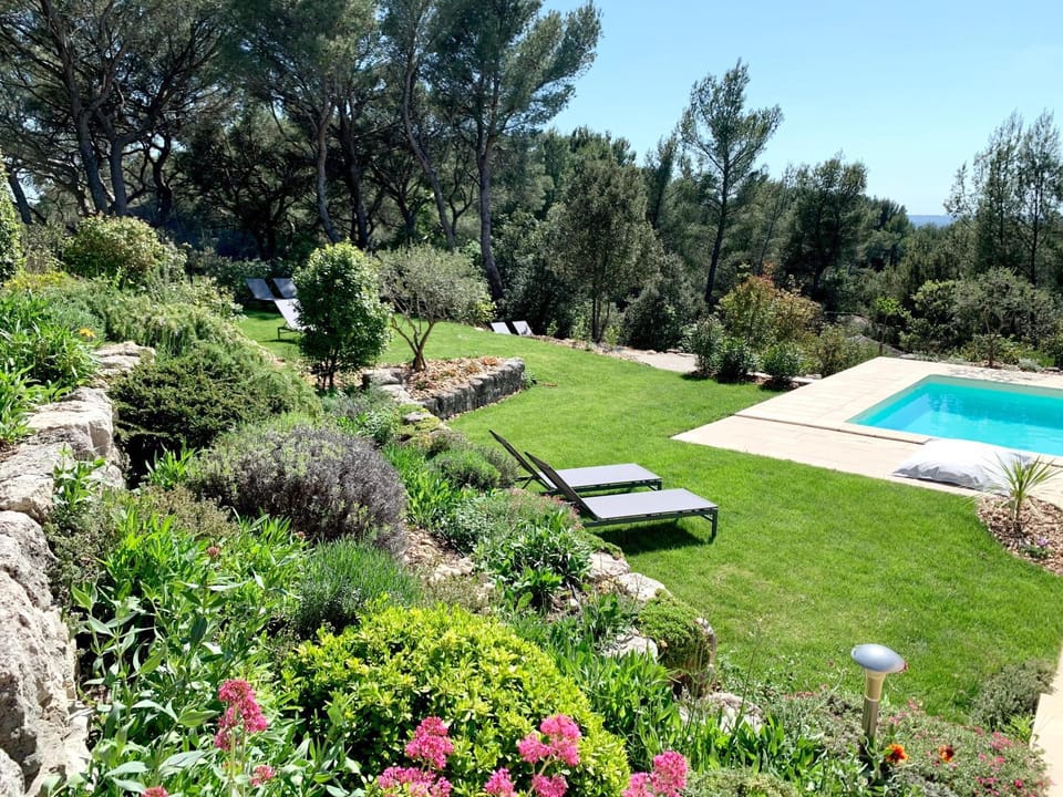 Garden, Swimming pool
