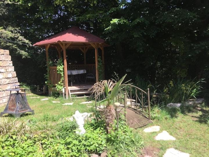 Garden, Garden view, Garden view