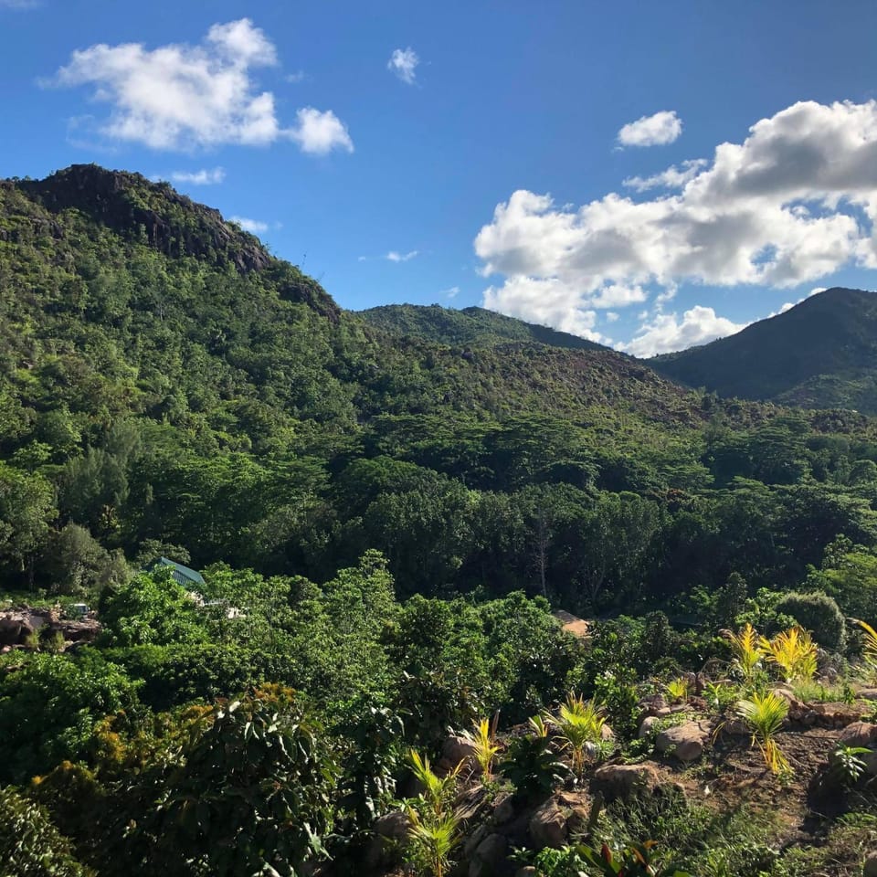 Natural landscape, Mountain view