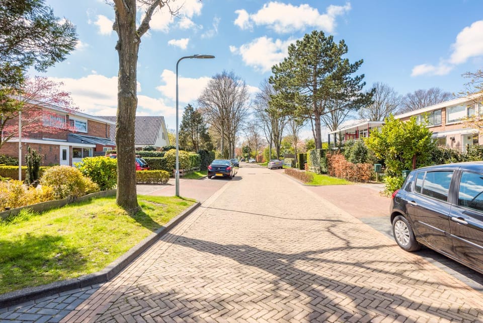 Neighbourhood, Street view